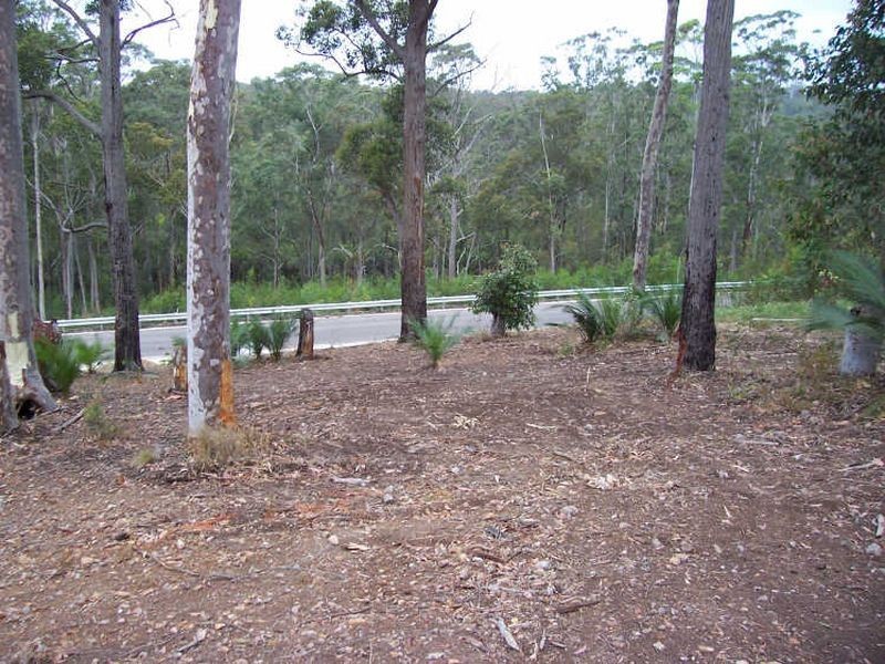 16 Oakwood Way, Catalina NSW 2536