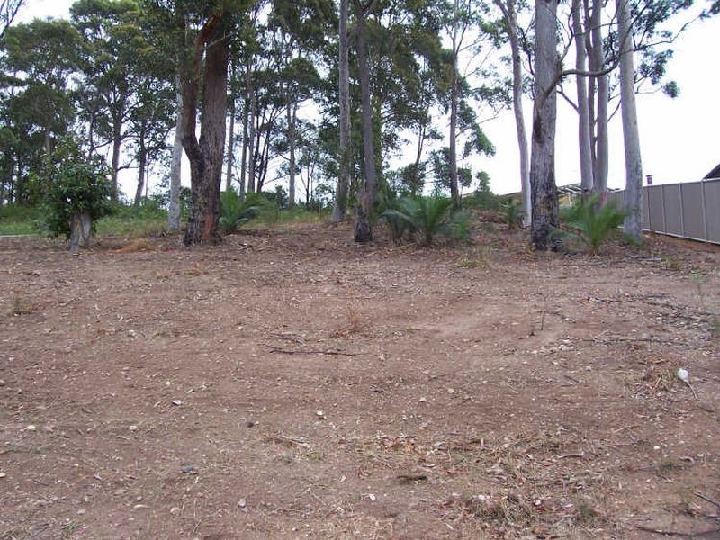 16 Oakwood Way, Catalina NSW 2536