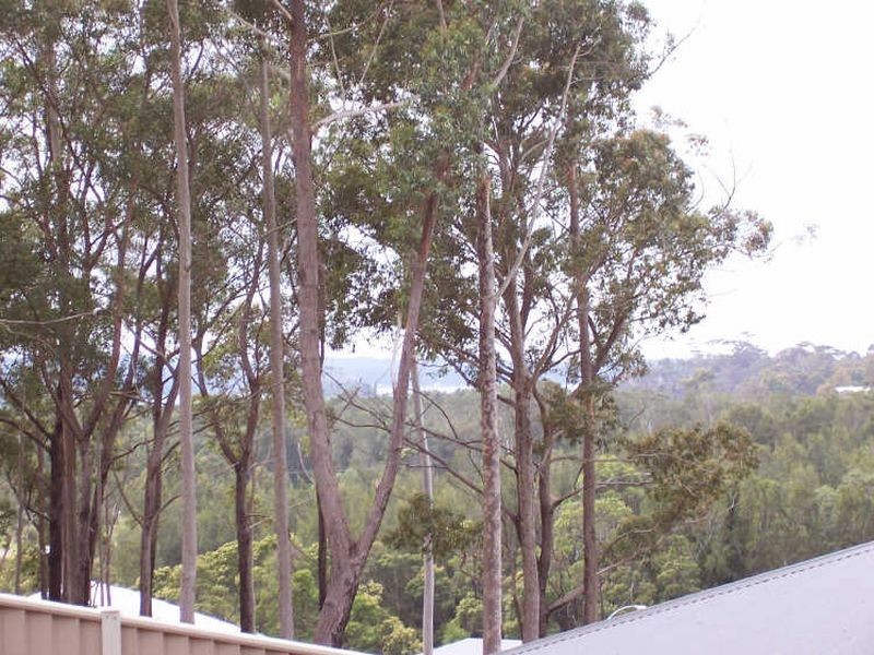 16 Oakwood Way, Catalina NSW 2536