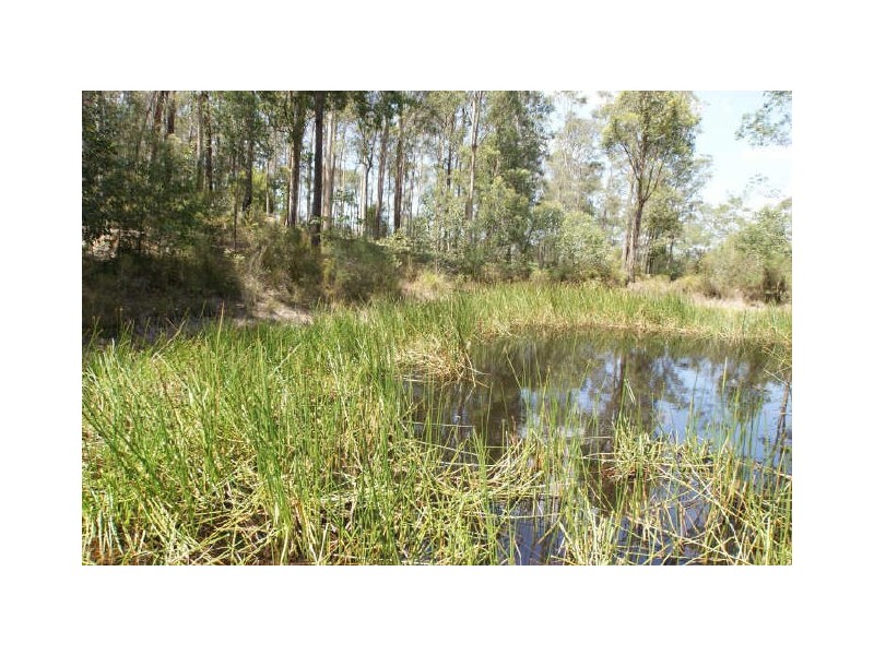 14 Somerset Close, Mogo NSW 2536