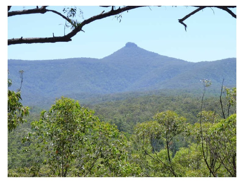 210 Barren Ridge Road, Milton NSW 2538