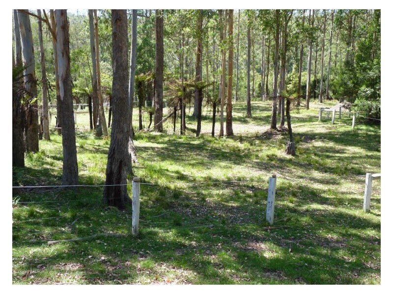 210 Barren Ridge Road, Milton NSW 2538