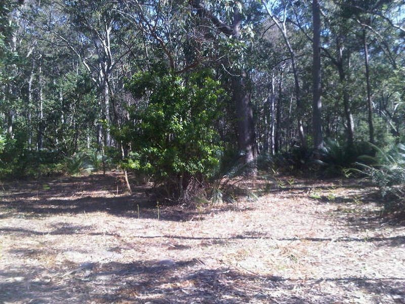 Lot 5 Fern Drive, South Durras NSW 2536