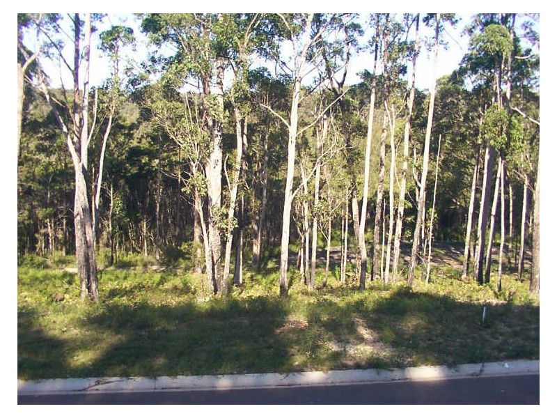 17 Lot 207 Oakwood Way, Catalina NSW 2536