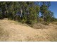 41 Albatross Road, Catalina NSW 2536