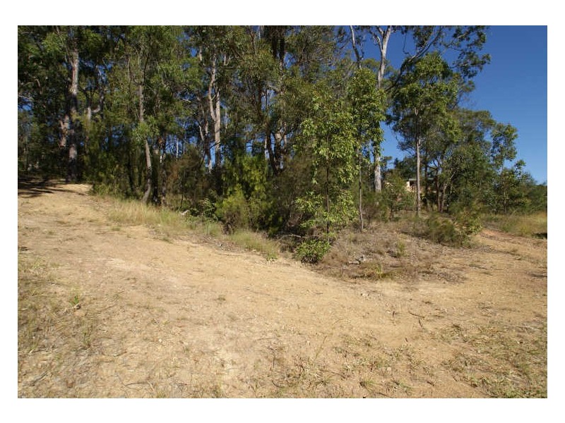 41 Albatross Road, Catalina NSW 2536