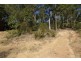 41 Albatross Road, Catalina NSW 2536
