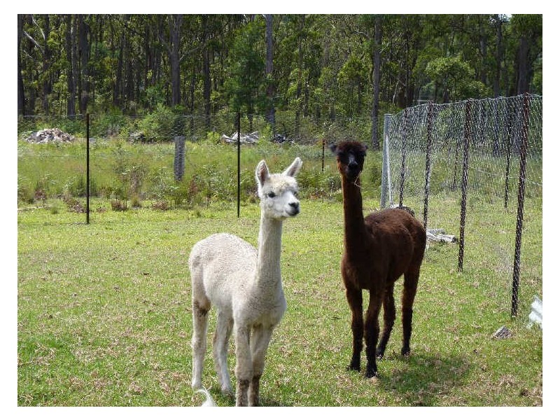 39 Pebbly Beach Road, East Lynne NSW 2536