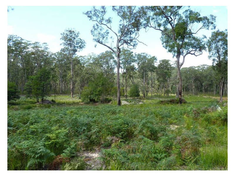 39 Pebbly Beach Road, East Lynne NSW 2536