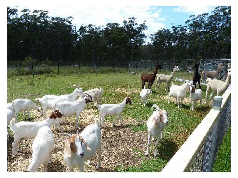 39 Pebbly Beach Road, East Lynne NSW 2536