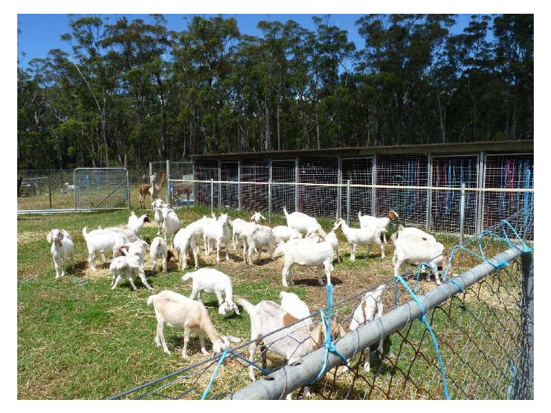 39 Pebbly Beach Road, East Lynne NSW 2536