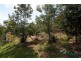 (Lot 3) 46 Broomfield Crescent, Long Beach NSW 2536