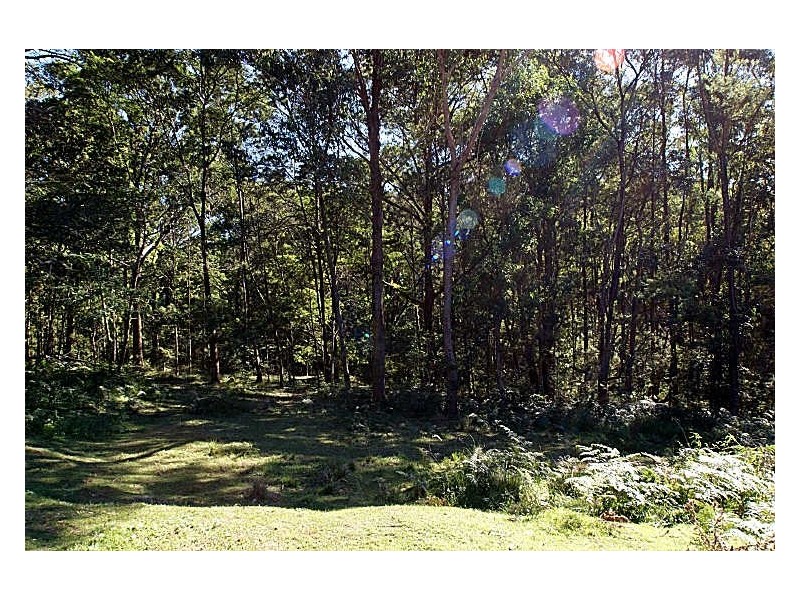 Lot 68 Princes Highway, Mogo NSW 2536