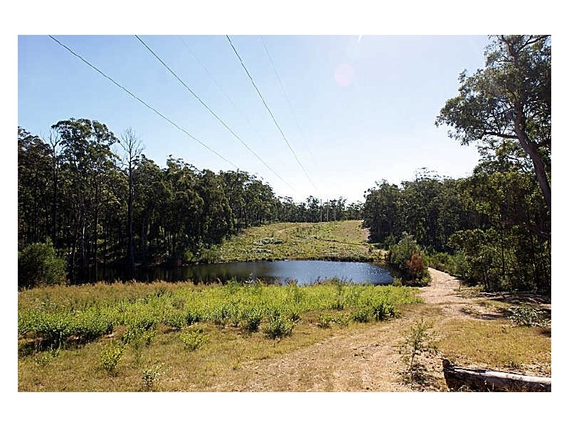 Lot 68 Princes Highway, Mogo NSW 2536