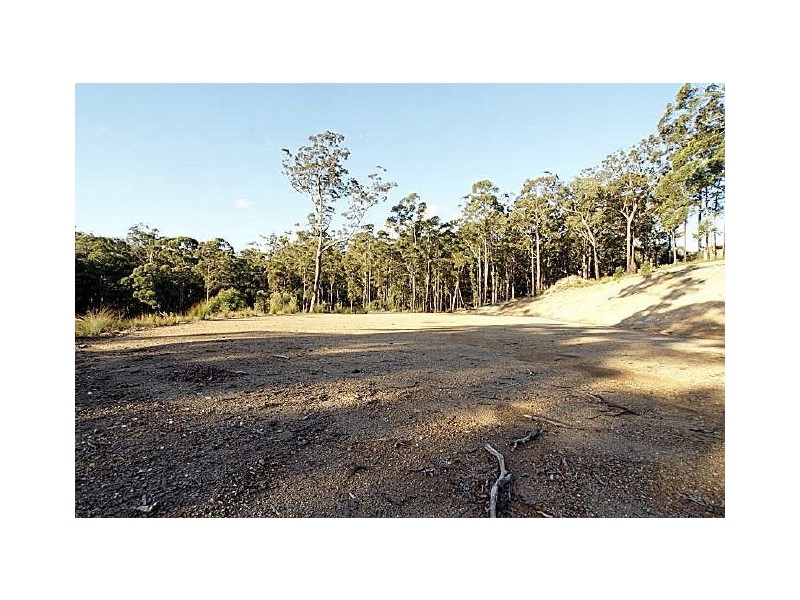 Lot 199 Treefern Drive, Long Beach NSW 2536