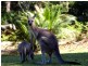 3 First Street, South Durras NSW 2536