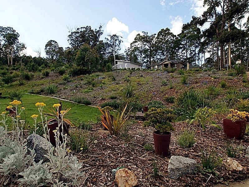 137 Litchfield Crescent, Long Beach NSW 2536