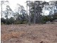 43 Litchfield Crescent (Lot 15), Long Beach NSW 2536