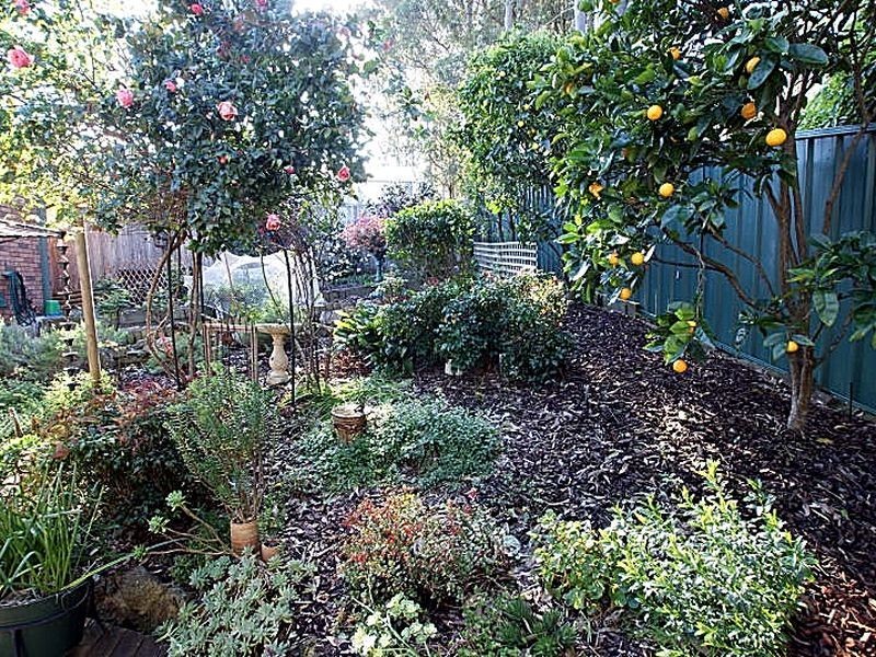 8 Wallarah Street, Surfside NSW 2536