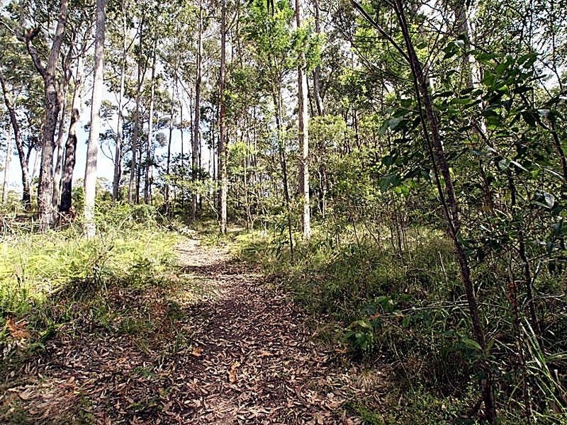 32 Benandra Forest Place, Long Beach NSW 2536