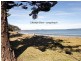 32 Benandra Forest Place, Long Beach NSW 2536