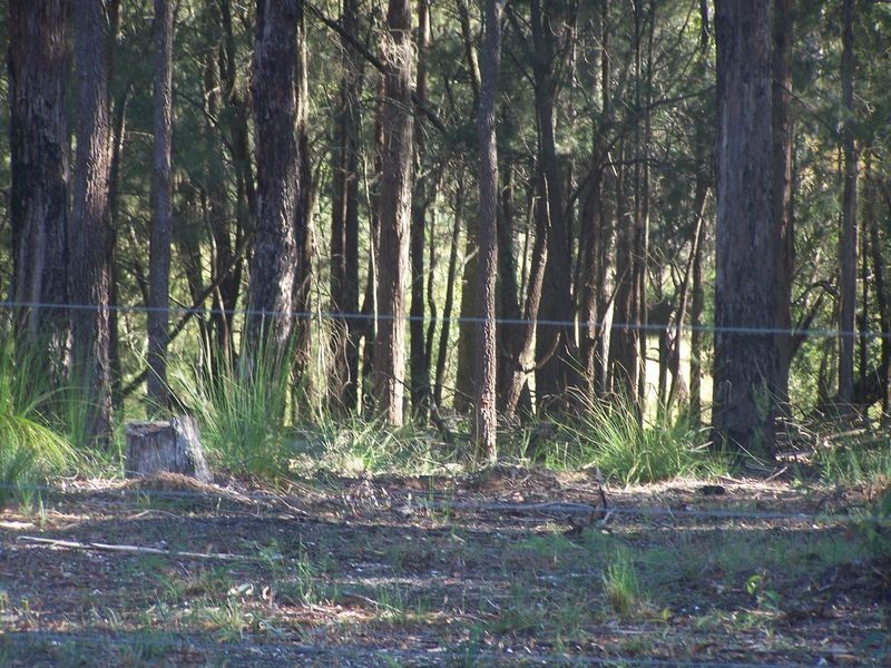 Lot 13 Norman Place, Bimbimbie NSW 2536