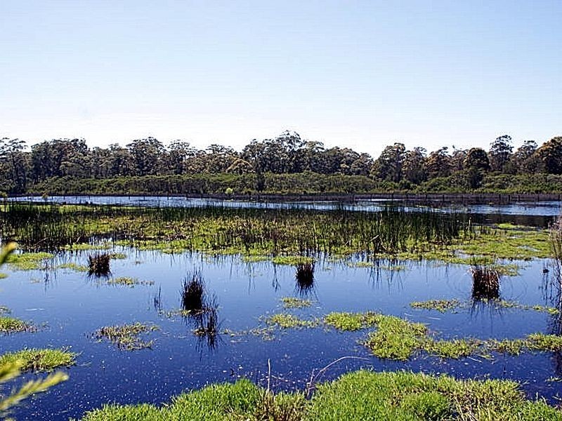 Lot 3 Phylis Price Drive, Moruya NSW 2537