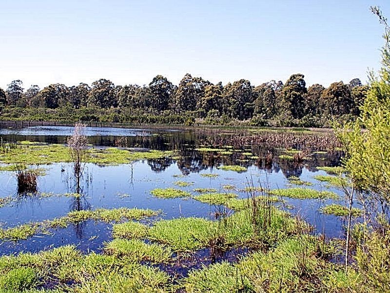 Lot 3 Phylis Price Drive, Moruya NSW 2537