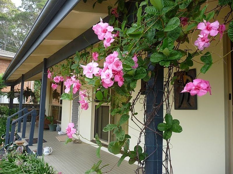 63 Maloneys Drive, Maloneys Beach NSW 2536