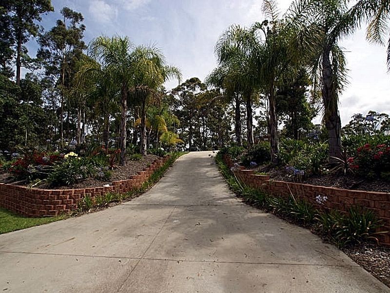 5 Burri Palm Way, Surfside NSW 2536