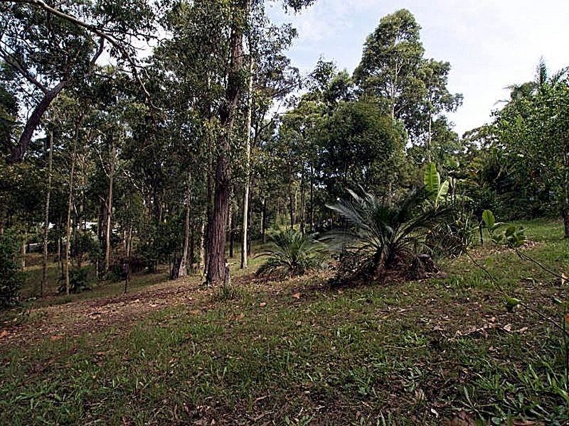 5 Burri Palm Way, Surfside NSW 2536