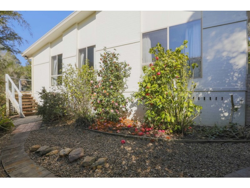 1/71 Karoola Crescent, Surfside NSW 2536