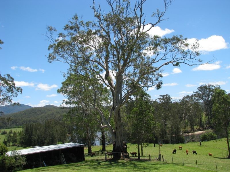 58 Egans Road, Runnyford NSW 2536