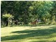 608B The Ridge Road, Malua Bay NSW 2536