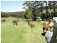 608 The Ridge Road, Malua Bay NSW 2536