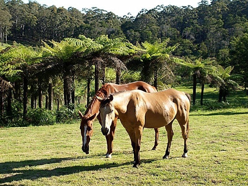 608 The Ridge Road, Malua Bay NSW 2536