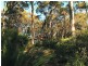 224 George Bass Drive, Lilli Pilli NSW 2536