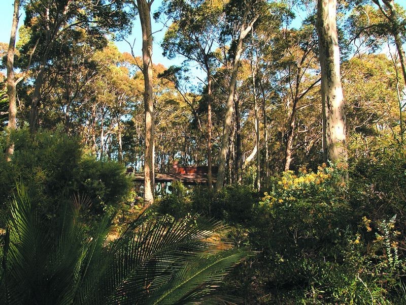224 George Bass Drive, Lilli Pilli NSW 2536
