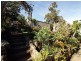 37 Riverview Crescent, Catalina NSW 2536