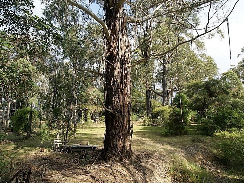 24 Dunns Creek Road, Batehaven NSW 2536