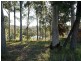 54 Heron Road, Catalina NSW 2536