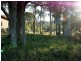 54 Heron Road, Catalina NSW 2536
