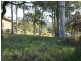 54 Heron Road, Catalina NSW 2536