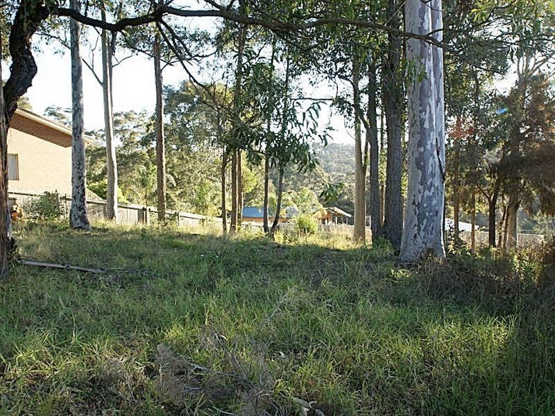 54 Heron Road, Catalina NSW 2536