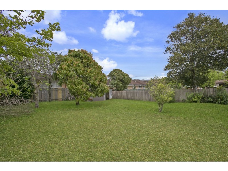 15 Mimosa Street, Bexley NSW 2207