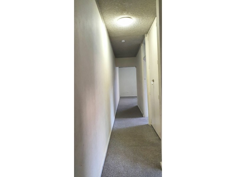 4/43 The Avenue, Hurstville NSW 2220