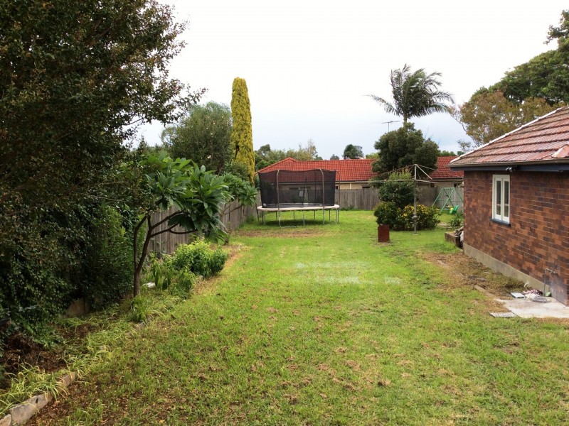1A Halley Avenue, Bexley NSW 2207