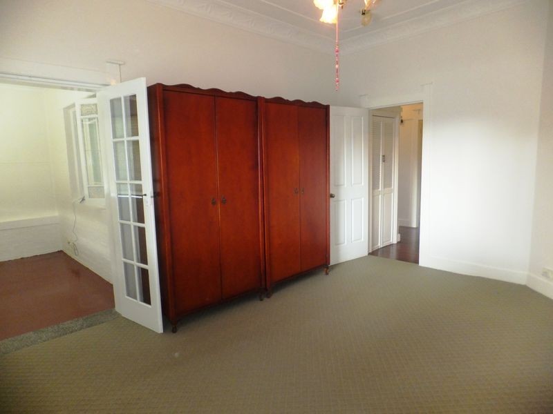 81 Abercorn Street, Bexley NSW 2207