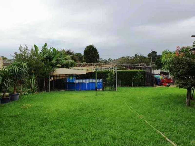 66 Mimosa Street, Bexley NSW 2207