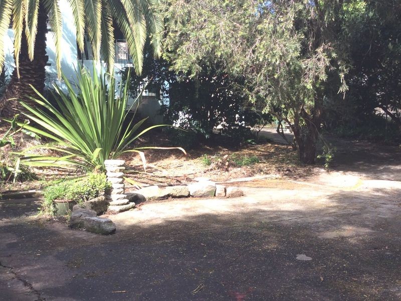 21 Veron Street, Bexley NSW 2207